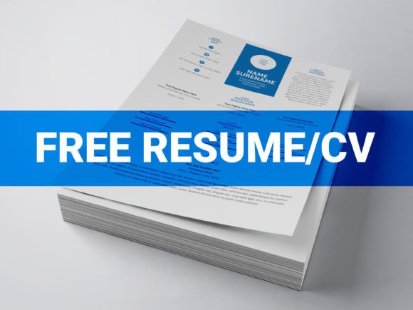 Download Professional Resume/CV Template - Cv template Collection